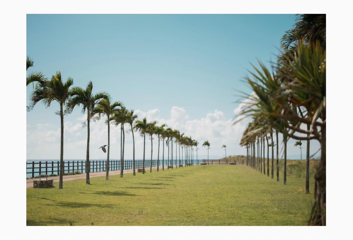 图片[3]-#桃里れあ 写真集 桃色 (wunder publishing house) - 全本免费在线观看-阅图吧