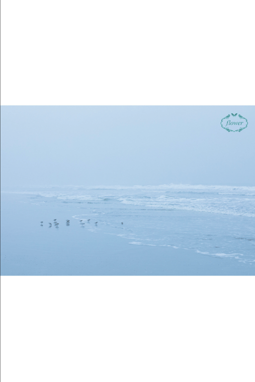 图片[7]-#FLOWER 数字写真集 星奈子 vol.06 - 全本免费在线观看-阅图吧