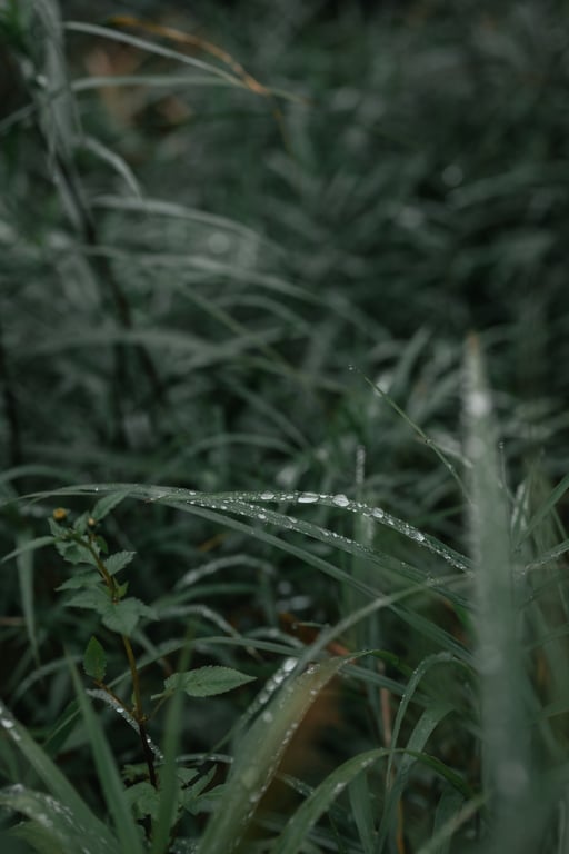 图片[38]-けん研🧪 (剑剑) 女忍者忍法色诱之术DL写真集 - 在线免费观看-阅图吧