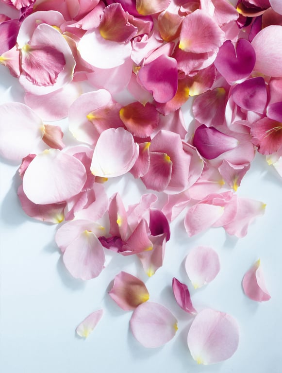 图片[91]-#飛鳥凛写真集『凛』 - 全本免费在线观看-阅图吧