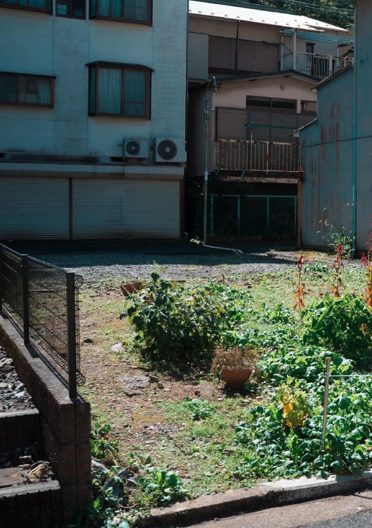 图片[6]-#極致 裸体写真集 (Wunder_Publishing_House.) - 全本免费在线观看-阅图吧