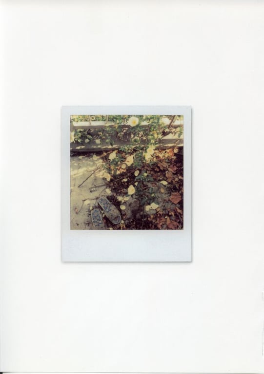 图片[124]-#未向 – LOVE POLA - 全本免费在线观看-阅图吧