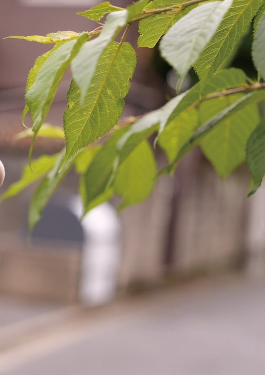 图片[12]-2024.12.09 白滨美羽『难忘的恋爱滋味』BOMB数字写真集 - 在线免费观看-阅图吧