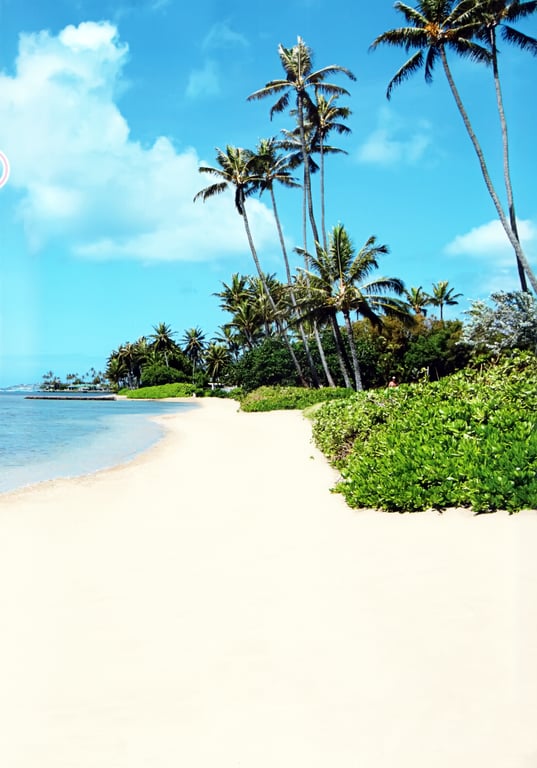 图片[4]-#アロハロ! モーニング娘。写真集 2012 (Photobook+DVD付き) - 全本免费在线观看-阅图吧