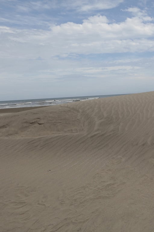 图片[47]-#FRIDAYデジタル写真集 现役庆应大学生美女×篠山纪信｜拍摄 街山美穗「深窗」 - 全本免费在线观看-阅图吧