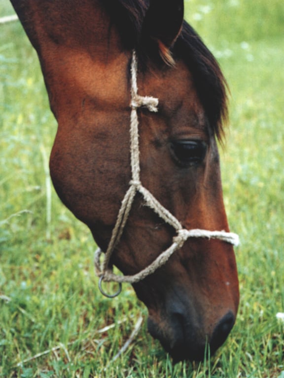 图片[90]-#小仓优子 – 优Q天国 - 全本免费在线观看-阅图吧