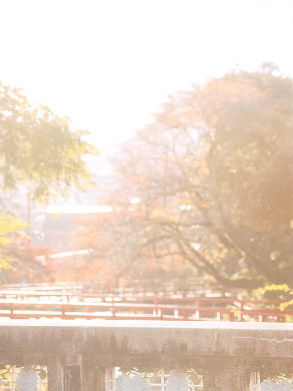 图片[81]-#Rena Matsui – Hemeret - 全本免费在线观看-阅图吧