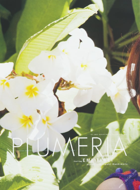 图片[9]-#武井咲 写真集 PLUMERIA - 全本免费在线观看-阅图吧