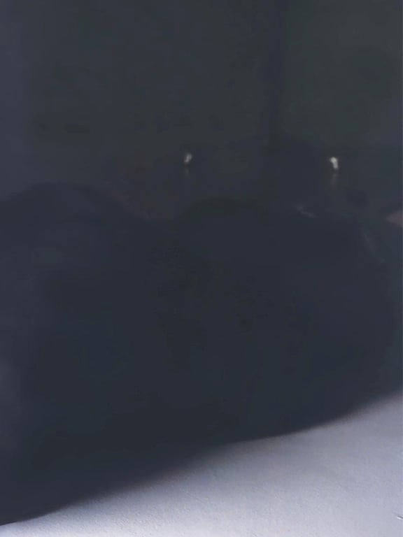 图片[90]-#Maki Goto 后藤真希 – Goto Maki 后藤真希 (2001-11-06) - 全本免费在线观看-阅图吧