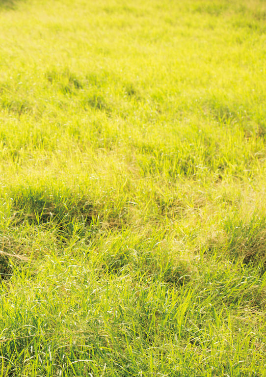 图片[68]-#三上悠亚 1st写真集 「Here you are」 - 全本免费在线观看-阅图吧