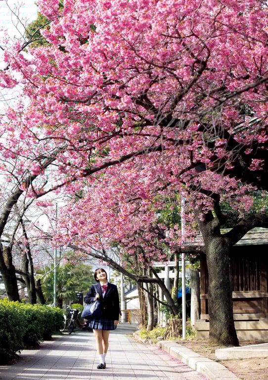 图片[112]-船木结 毕业写真集 『 结章 － KESSYO － 』 - 在线免费观看-阅图吧