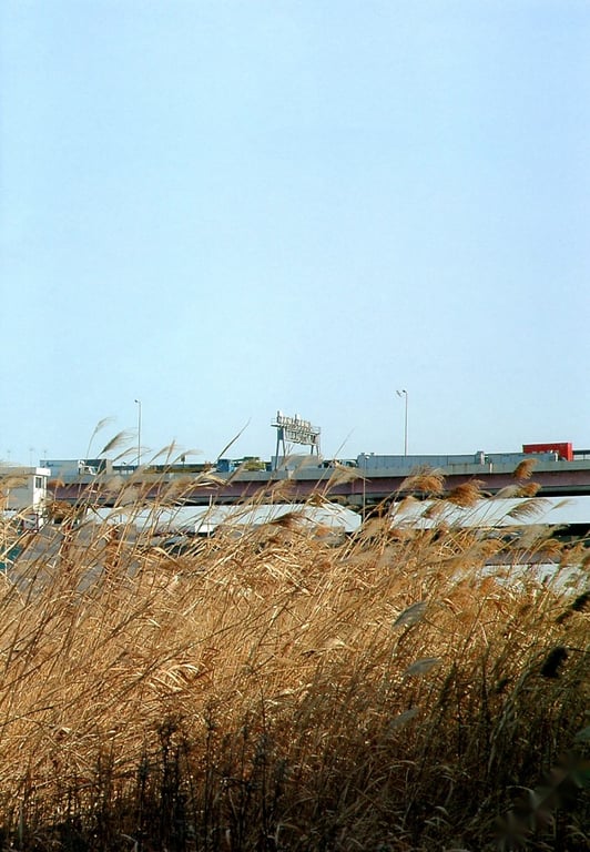 图片[9]-#Tomoka Kurokawa 黑川智花 – 15-year-old trajectory 15岁的轨迹 (2005-04-10) - 全本免费在线观看-阅图吧