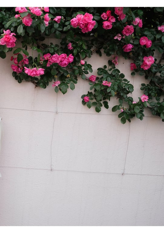 图片[10]-#石川澪 デジタル写真集 とられち(No Watermark) - 全本免费在线观看-阅图吧