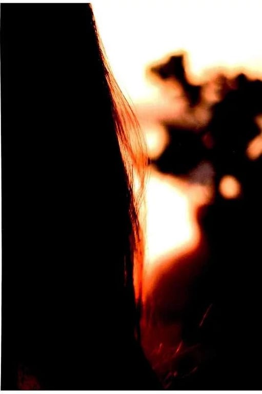 图片[126]-#2017.12.20 深田恭子写真集 palpito - 全本免费在线观看-阅图吧