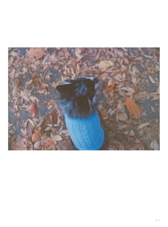 图片[106]-アイナ・ジ・エンド1st写真集 「幻友」 - 在线免费观看-阅图吧