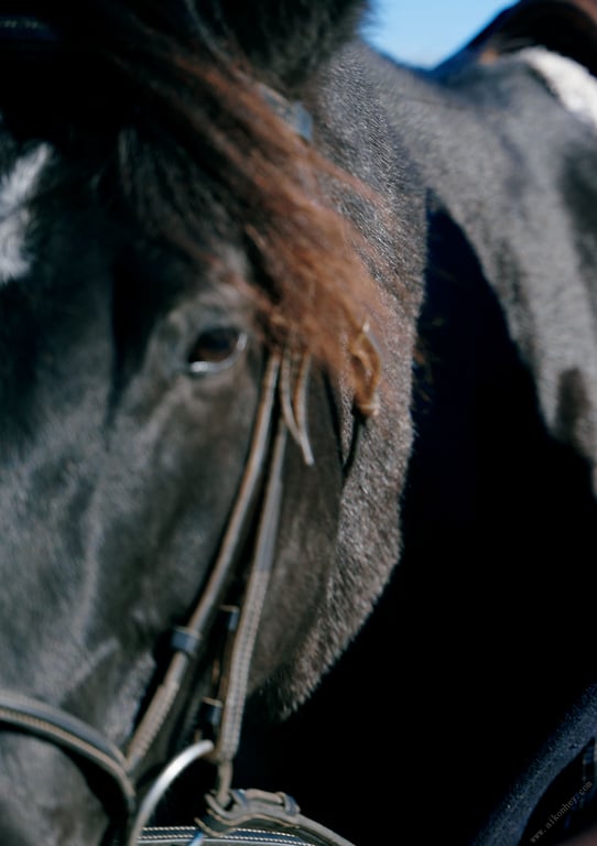 图片[54]-#京佳ラスト写真集『ＦＲＯＮＴＥＲＡ』 (2022-03-04) - 全本免费在线观看-阅图吧