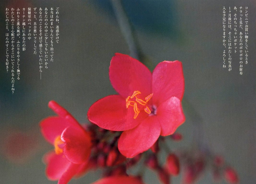 图片[69]-#小仓优子 – 初恋故事～鼓起勇气～ - 全本免费在线观看-阅图吧