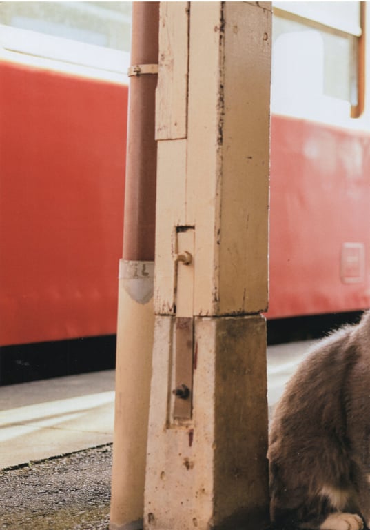 图片[94]-#運上弘菜 写真集 「WHITE.」 - 全本免费在线观看-阅图吧