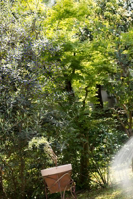 图片[60]-[FLASH Photobook] Tsumugi Hashimoto 桥本纺 - The best in Osaka is the best in Japan! 大阪第一就是日本第一！ (2023-06-20) - 在线免费观看-阅图吧