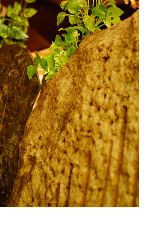 图片[17]-#NEWLOOK【girl meets street】神宫寺奈绪 - 在线免费观看-阅图吧