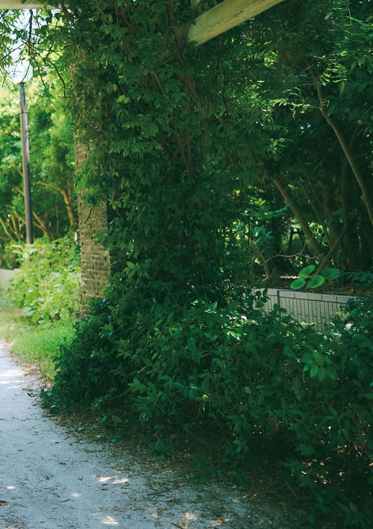 图片[95]-井桁弘恵写真集 刹那 - 在线免费观看-阅图吧