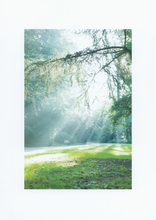 图片[9]-#生田絵梨花1st写真集「转调」 - 全本免费在线观看-阅图吧