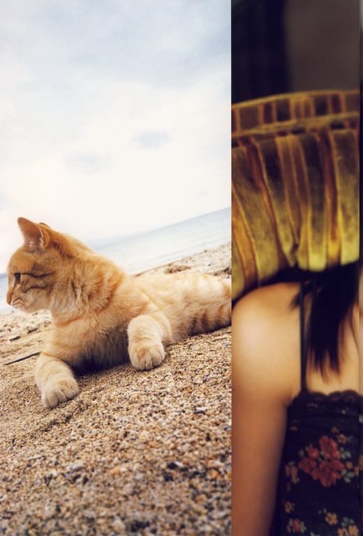 图片[30]-#Maimi Yajima 矢岛舞美 1st Photobook – Maimi 舞美 (2007-04-25) - 全本免费在线观看-阅图吧