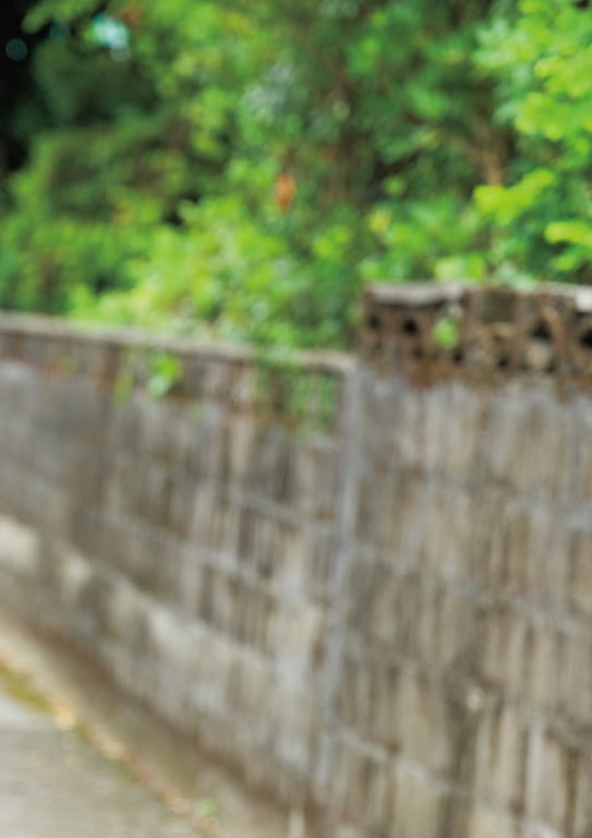 图片[7]-#水野瞳ファースト写真集『AKIRA』(2024-11-24) - 全本免费在线观看-阅图吧