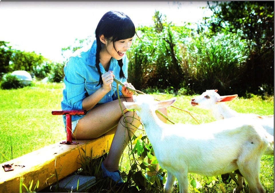 图片[102]-#Rino Sashihara 指原莉乃 – Lost to a cat 输给了猫 (2013-12-26) - 全本免费在线观看-阅图吧