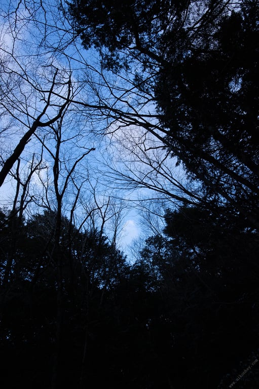 图片[124]-#染谷有香 HoneyTrap 周刊Post数字写真集 - 全本免费在线观看-阅图吧