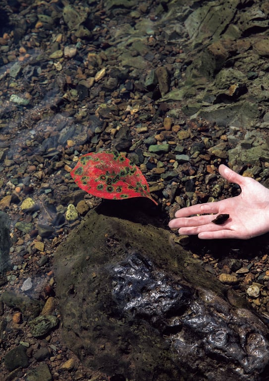 图片[54]-Tsukasa Aoi 葵司 (2021-03-30)葵司 朝艺SEXY女优写真集 - 在线免费观看-阅图吧