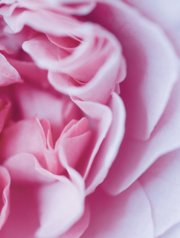 图片[106]-#飛鳥凛写真集『凛』 - 全本免费在线观看-阅图吧