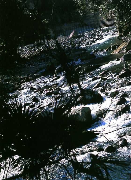 图片[15]-#佐藤江梨子 – 搬家 - 全本免费在线观看-阅图吧