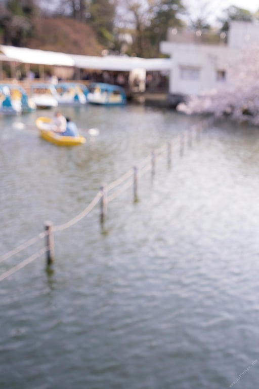 图片[7]-#木下凛凛子数字写真集 春夏秋冬 「春」 - 全本免费在线观看-阅图吧