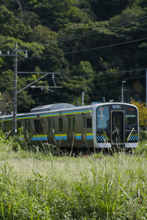 图片[24]-#美園和花 官方写真集 ハチミツ - 全本免费在线观看-阅图吧