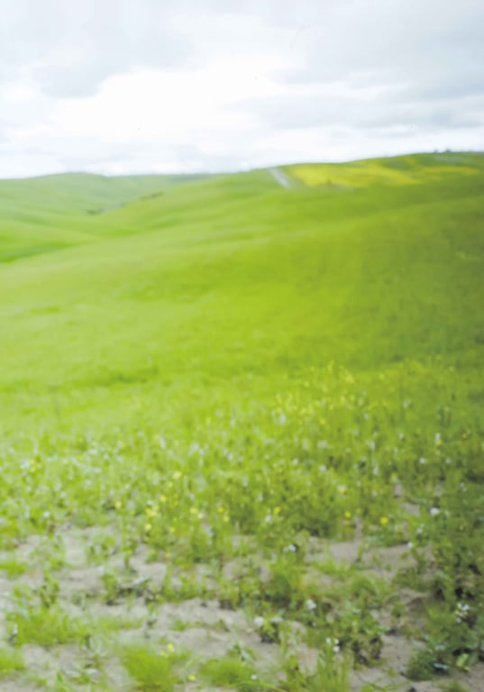 图片[128]-#新木优子 2nd写真集 honey Low Qulity - 全本免费在线观看-阅图吧