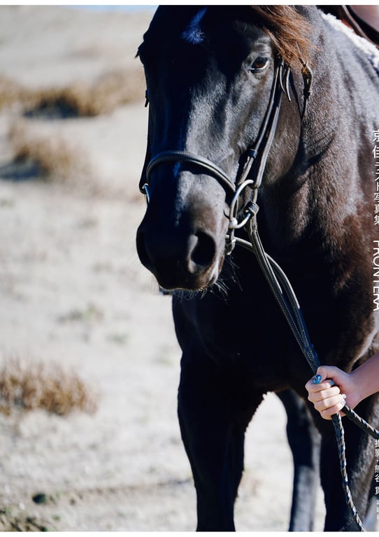 图片[114]-#京佳ラスト写真集『ＦＲＯＮＴＥＲＡ』 (2022-03-04) - 全本免费在线观看-阅图吧