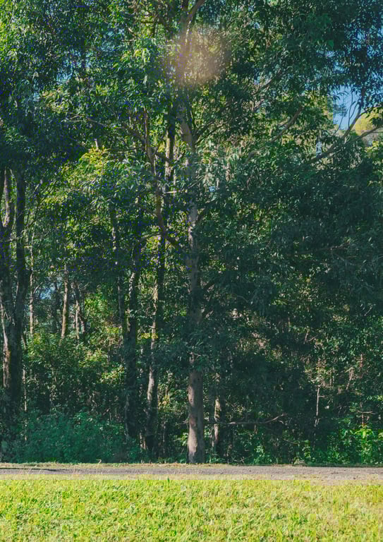 图片[68]-2024.10.14 田中美久写真集「更加、随心所欲。」 (週プレ PHOTO BOOK) - 在线免费观看-阅图吧