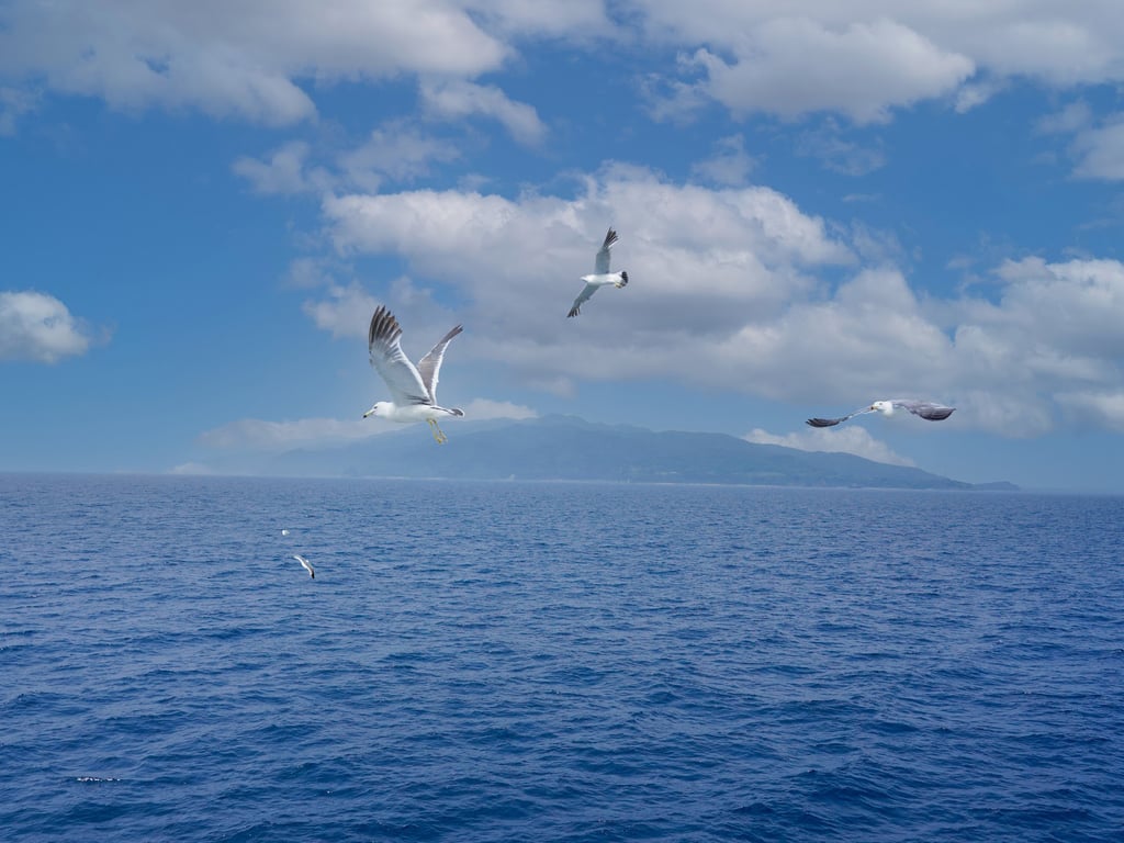 图片[43]-#Asuna Kawai 河合明日菜 – 时之滴～与你共度的那座岛上～ (NO watermark) - 全本免费在线观看-阅图吧