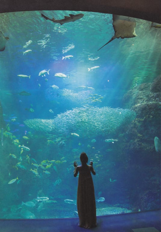 图片[15]-#Tomomi Itano 板野友美 – KB48毕业纪念写真集 友千 - 全本免费在线观看-阅图吧