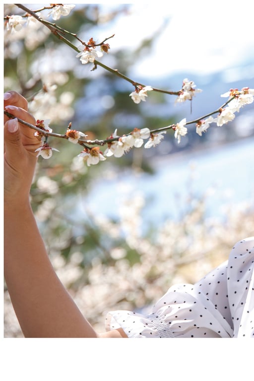 图片[13]-#EMILY – The clear season 澄澈的季节 (2022-07-08) - 全本免费在线观看-阅图吧