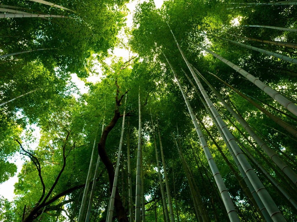 图片[24]-#野々浦暖 写真集『NON IN KYOTO』 - 全本免费在线观看-阅图吧