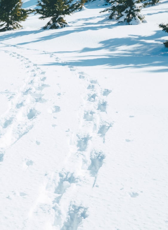 图片[37]-#松下玲绪菜2nd写真集 in the seasons - 全本免费在线观看-阅图吧