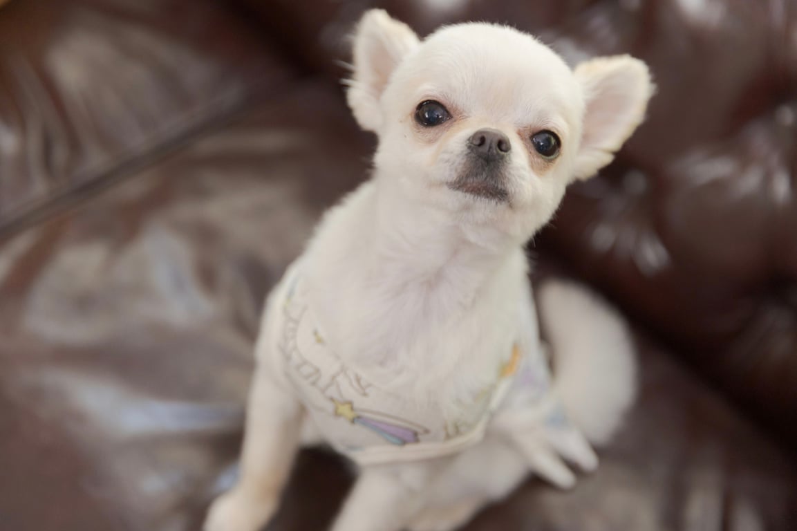 图片[54]-Sarina Momonaga 百永纱里奈 - Perfect Day For A Date 约会日和 - 在线免费观看-阅图吧