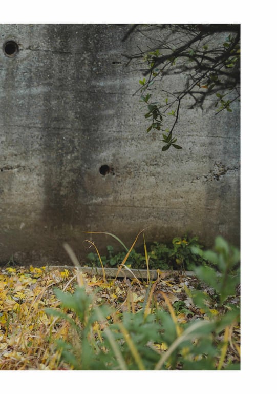 图片[107]-#とられち 美谷朱里(2023-01-31) - 全本免费在线观看-阅图吧