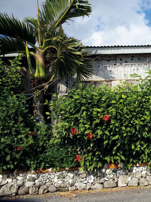 图片[26]-#Miho Machiyama 街山美穗 – Eden (2022-02-25) - 全本免费在线观看-阅图吧