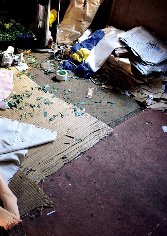 图片[20]-#辻本杏ファースト写真集『杏』 - 全本免费在线观看-阅图吧