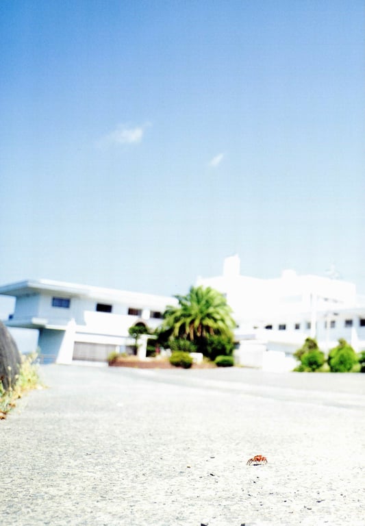 图片[11]-Chiho Ishida 石田千穂 - 1st Photobook Lemon season 柠檬的季节 (2020-12-02) - 在线免费观看-阅图吧