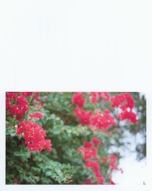 图片[104]-#白石麻衣写真集 护照 乃木坂46毕业纪念 限定封面版【Amazon.co.jp限定明信片付】 - 全本免费在线观看-阅图吧