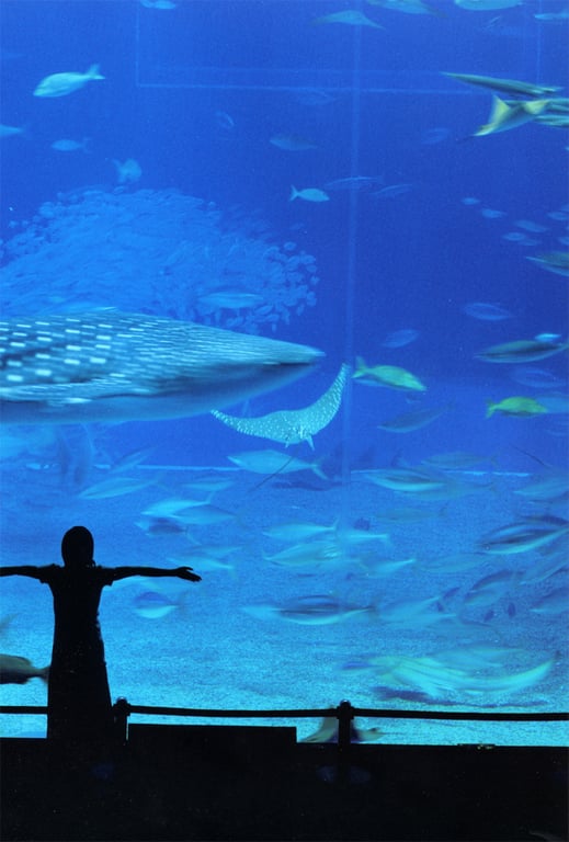 图片[93]-#松浦亚弥 – 真是！楚楚动人 - 全本免费在线观看-阅图吧